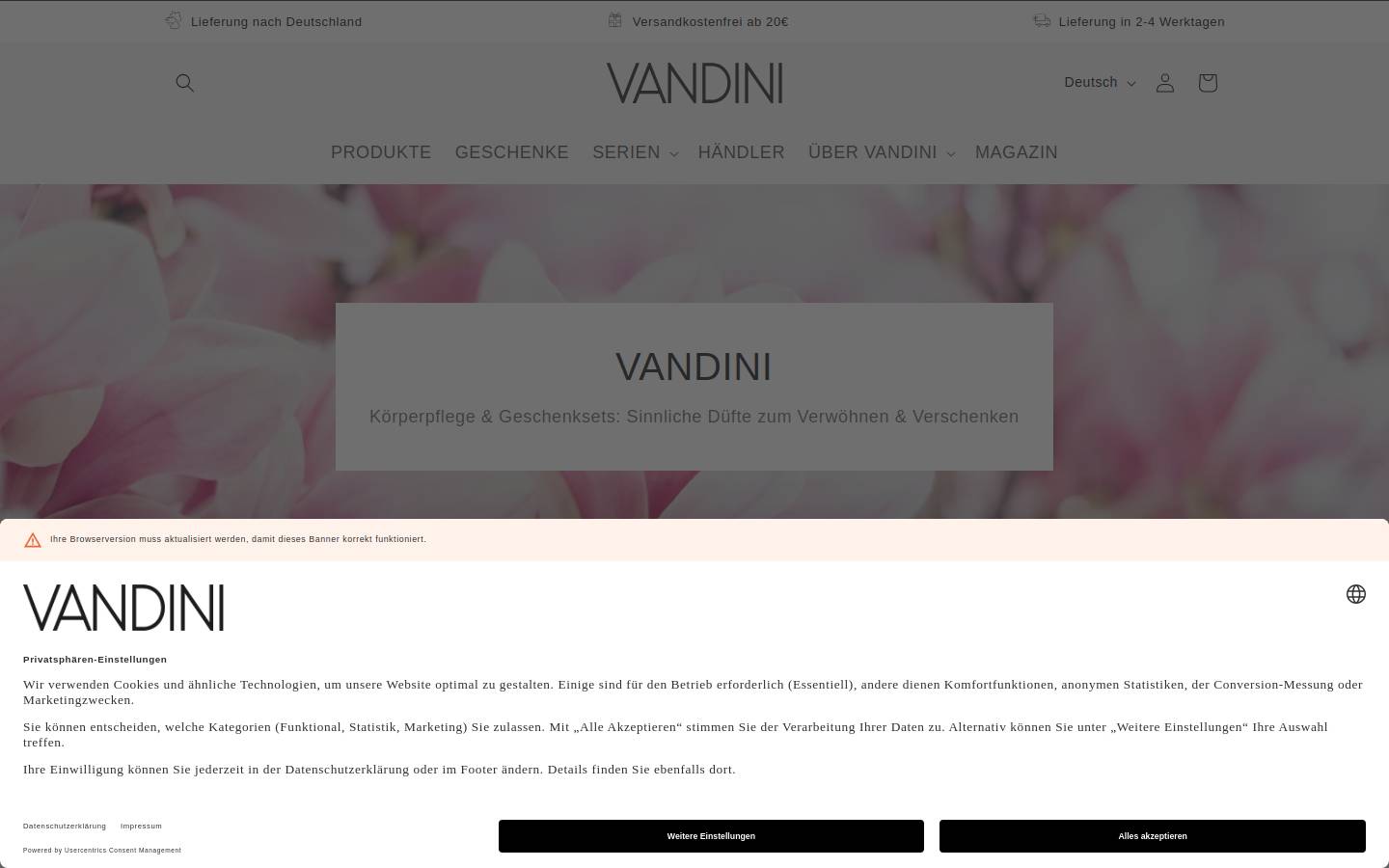 vandini.com homepage screenshot