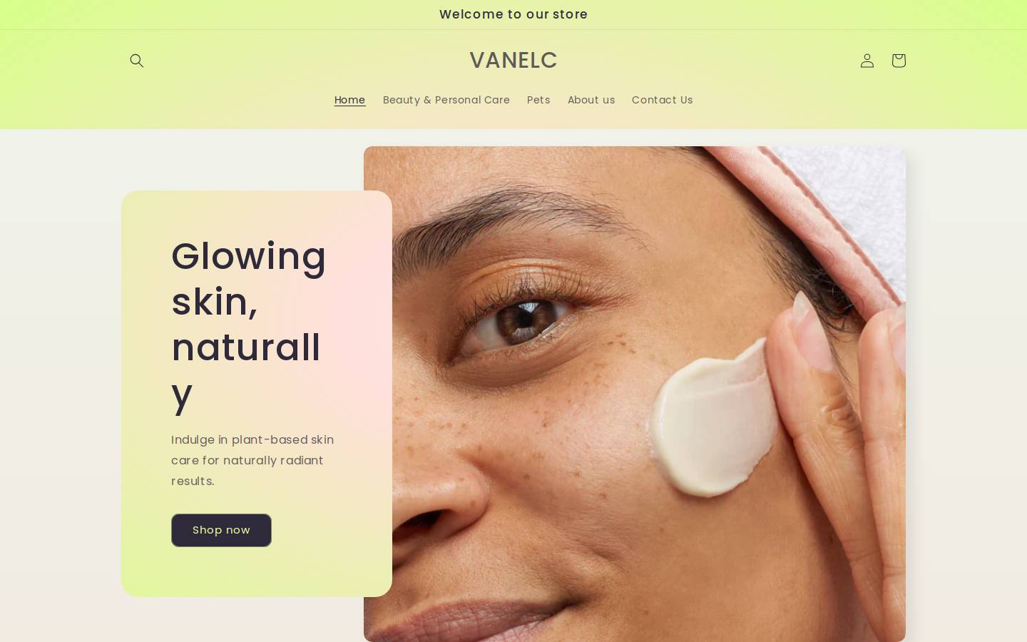 vanelc.com homepage screenshot