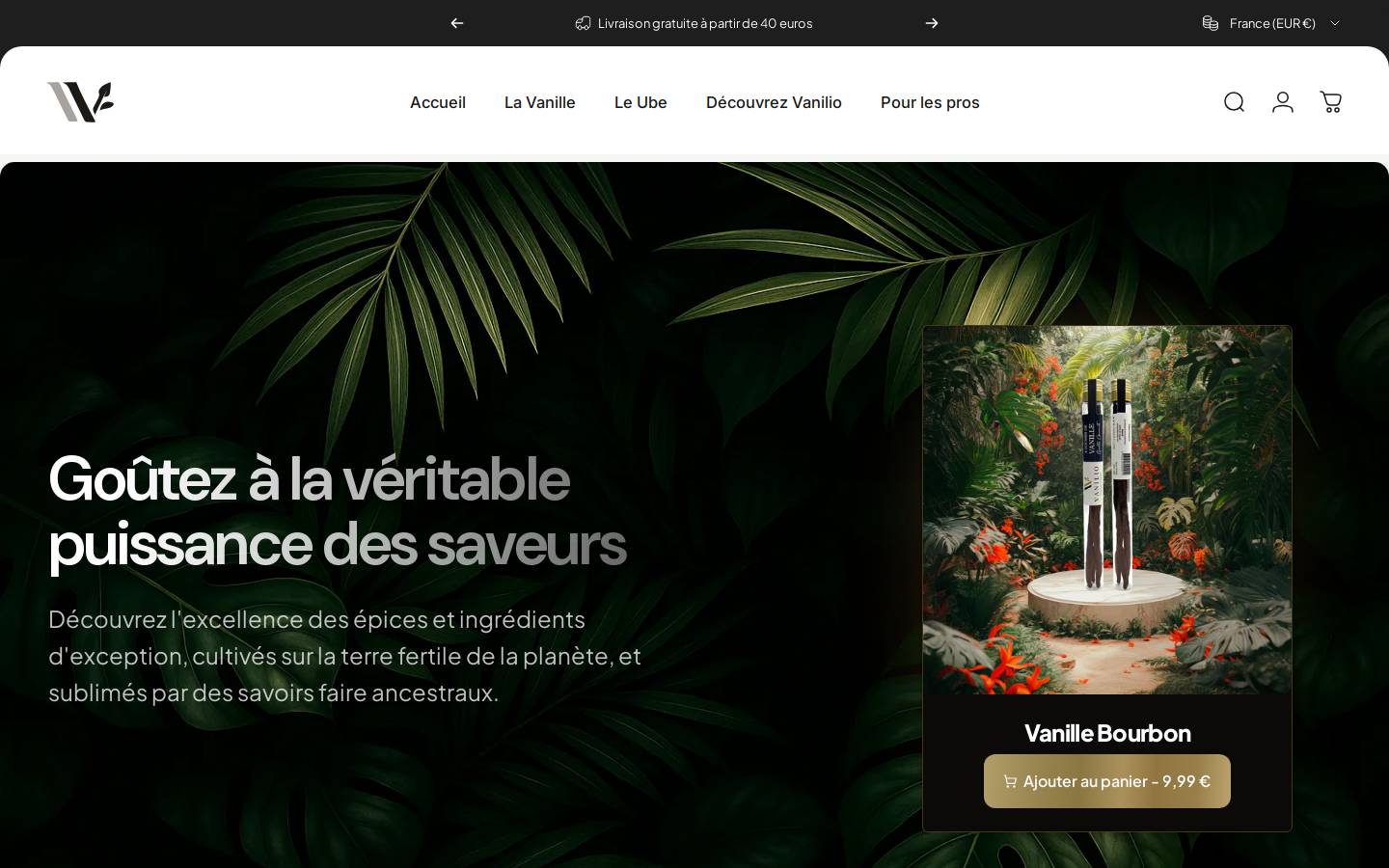 vanilio.com homepage screenshot