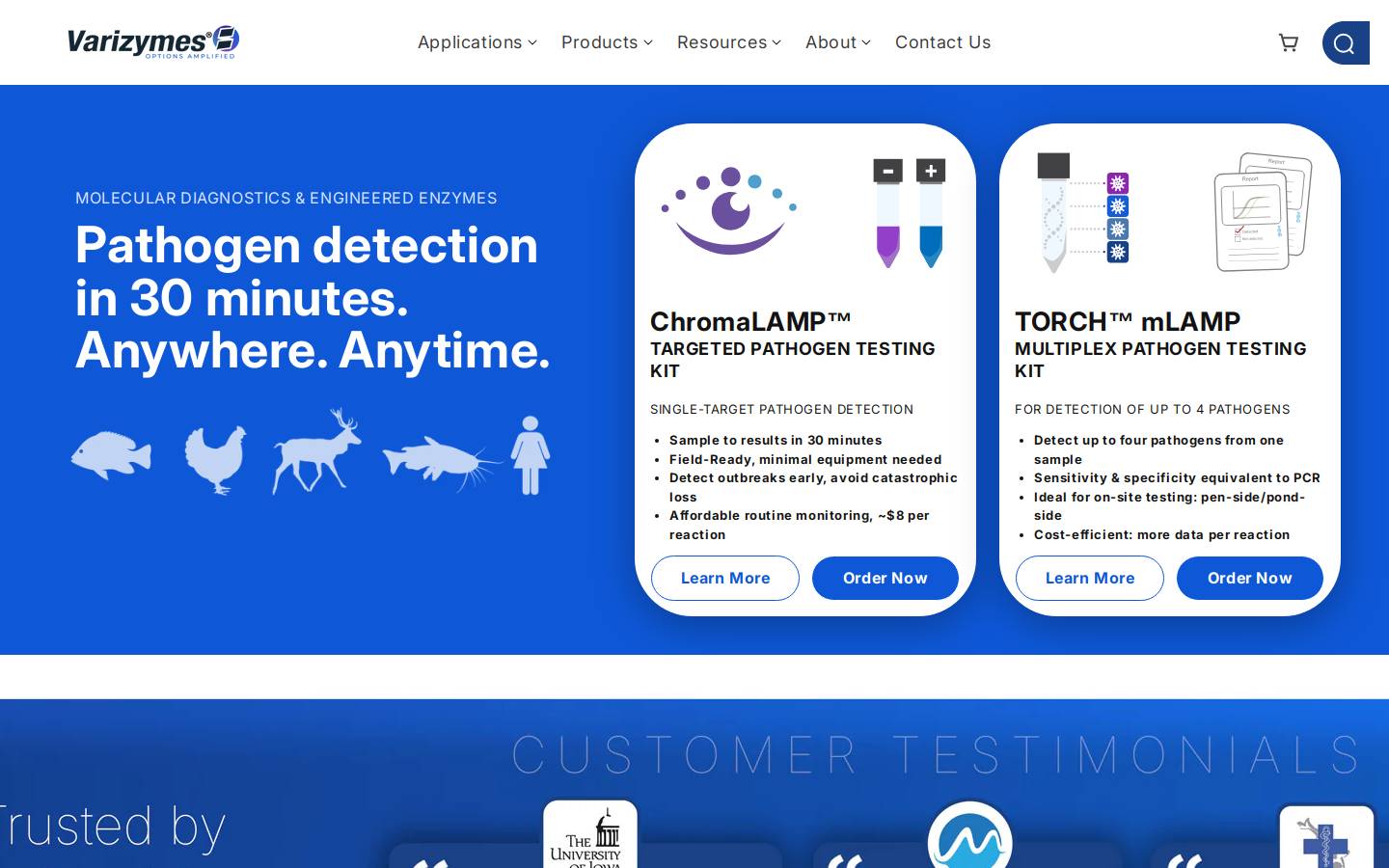 varizymes.com homepage screenshot