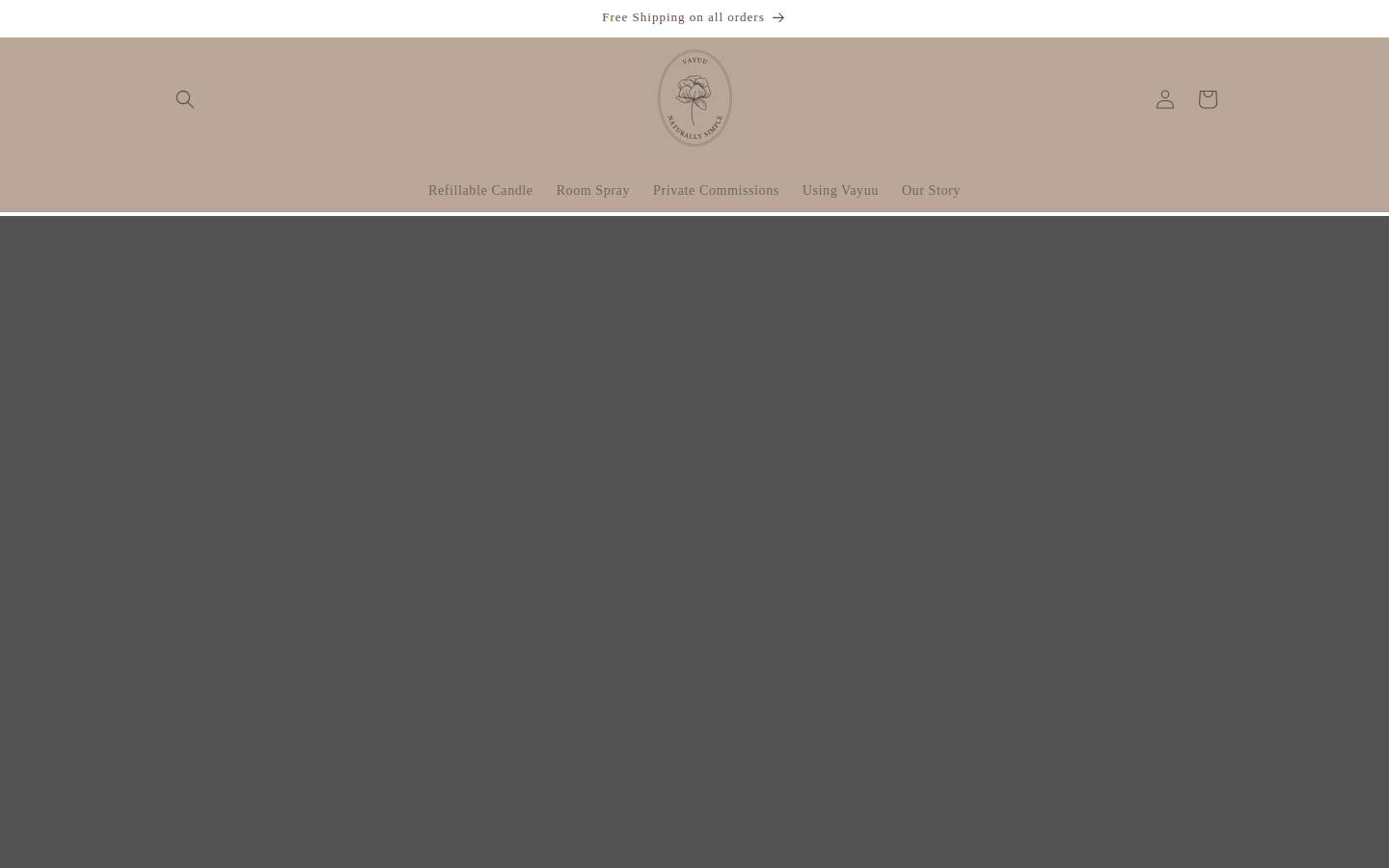 vayuu.com homepage screenshot