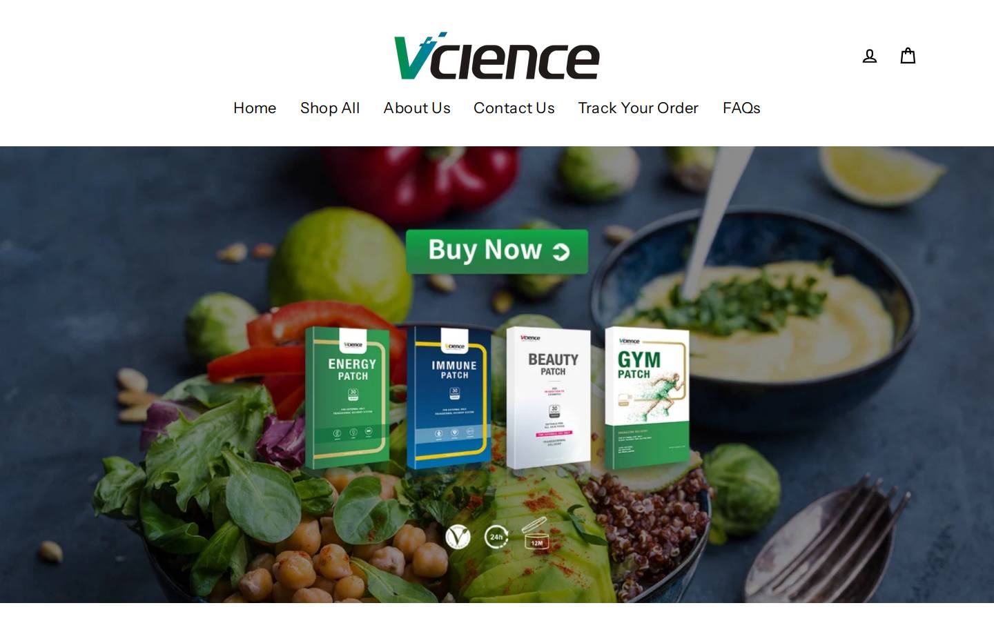 vcience.com homepage screenshot