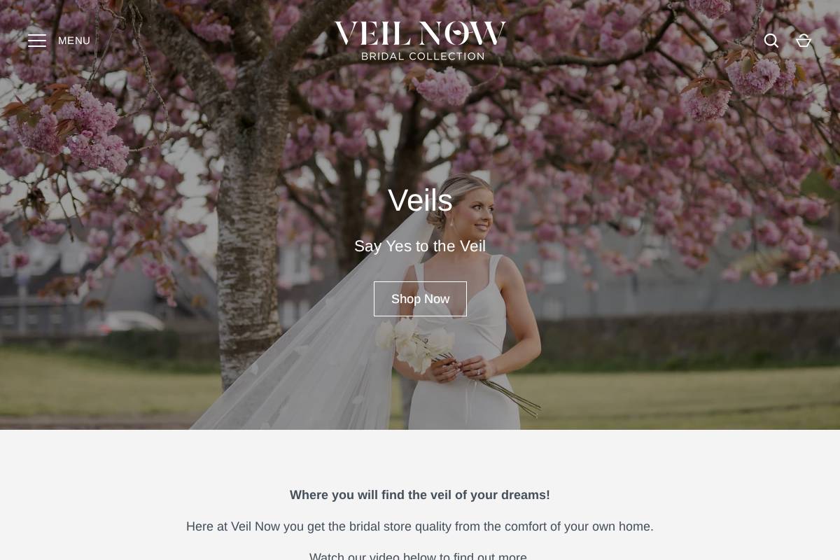 VEIL NOW homepage screenshot