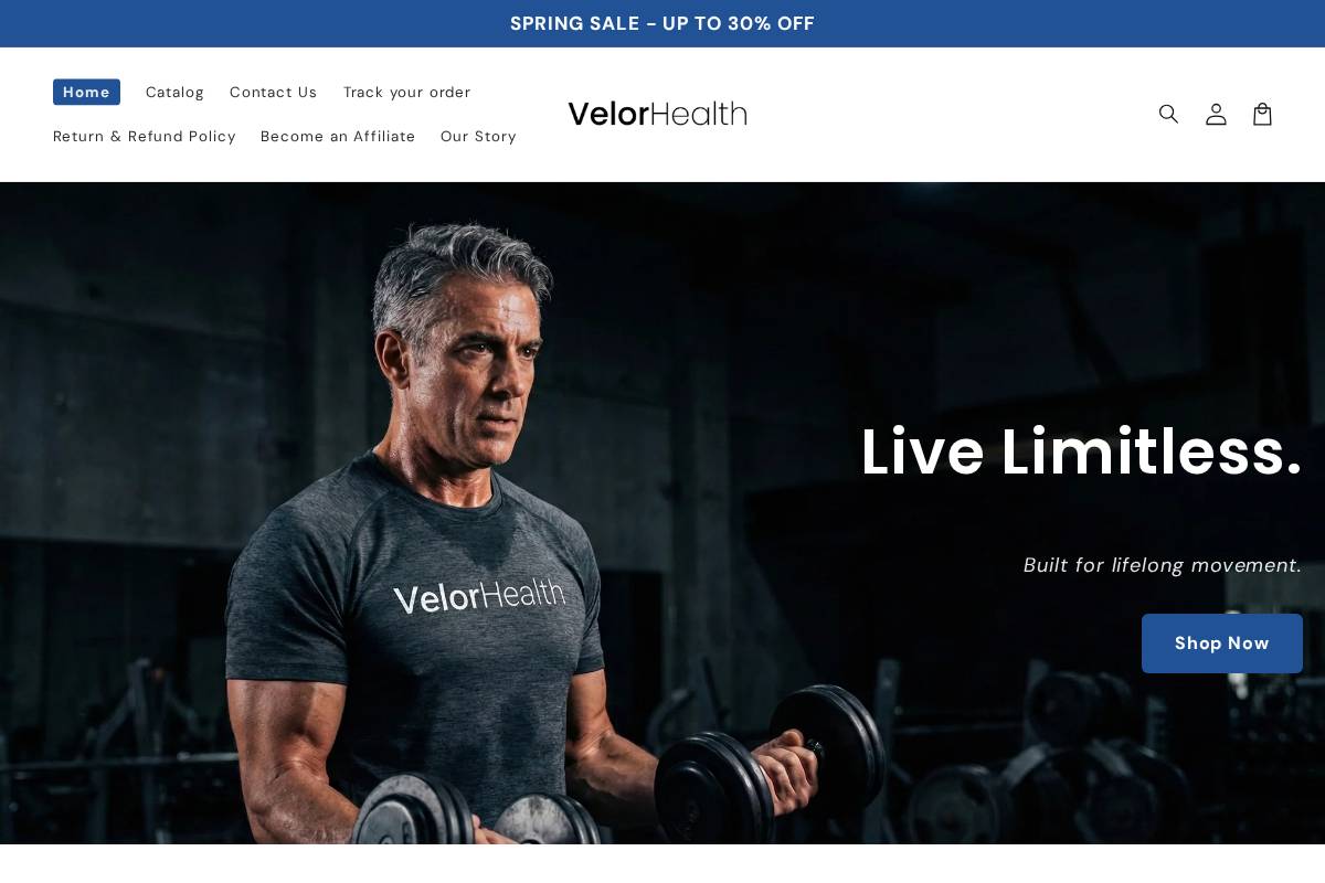 VelorHealth homepage screenshot