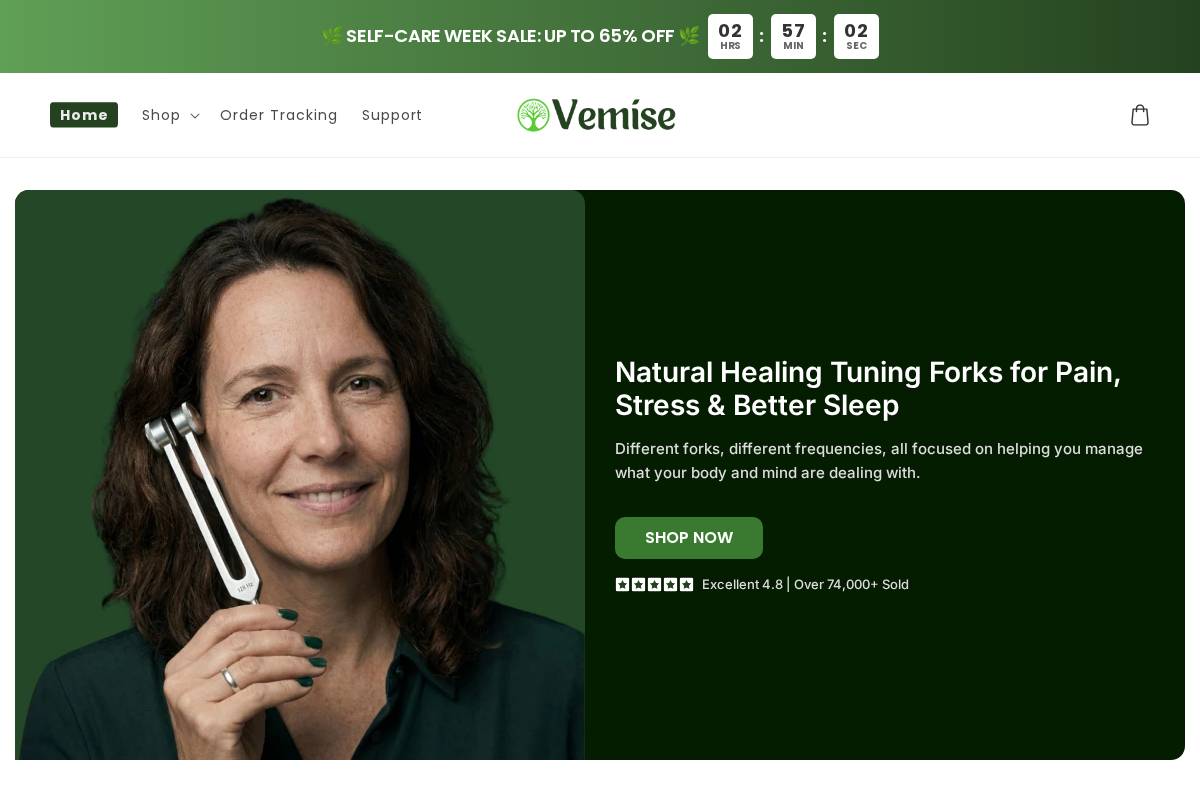 Vemise homepage screenshot