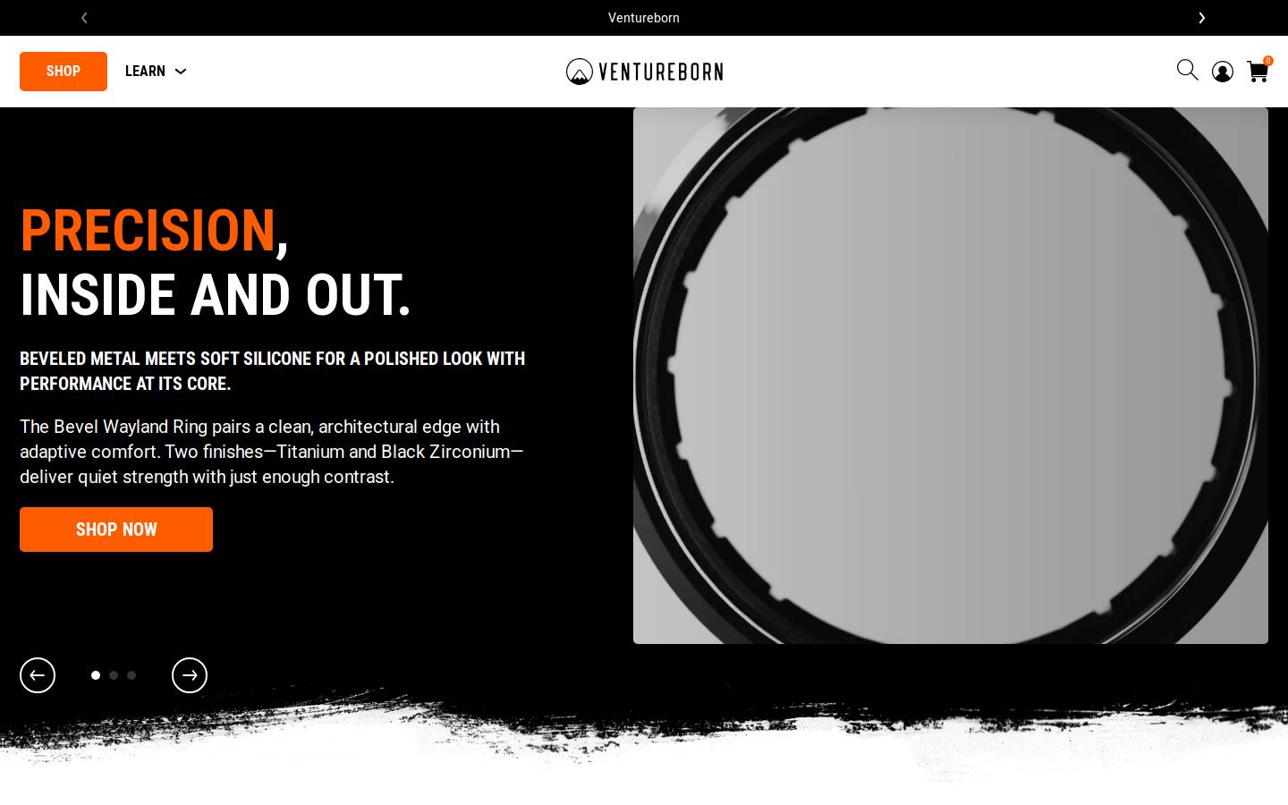 ventureborn.com homepage screenshot