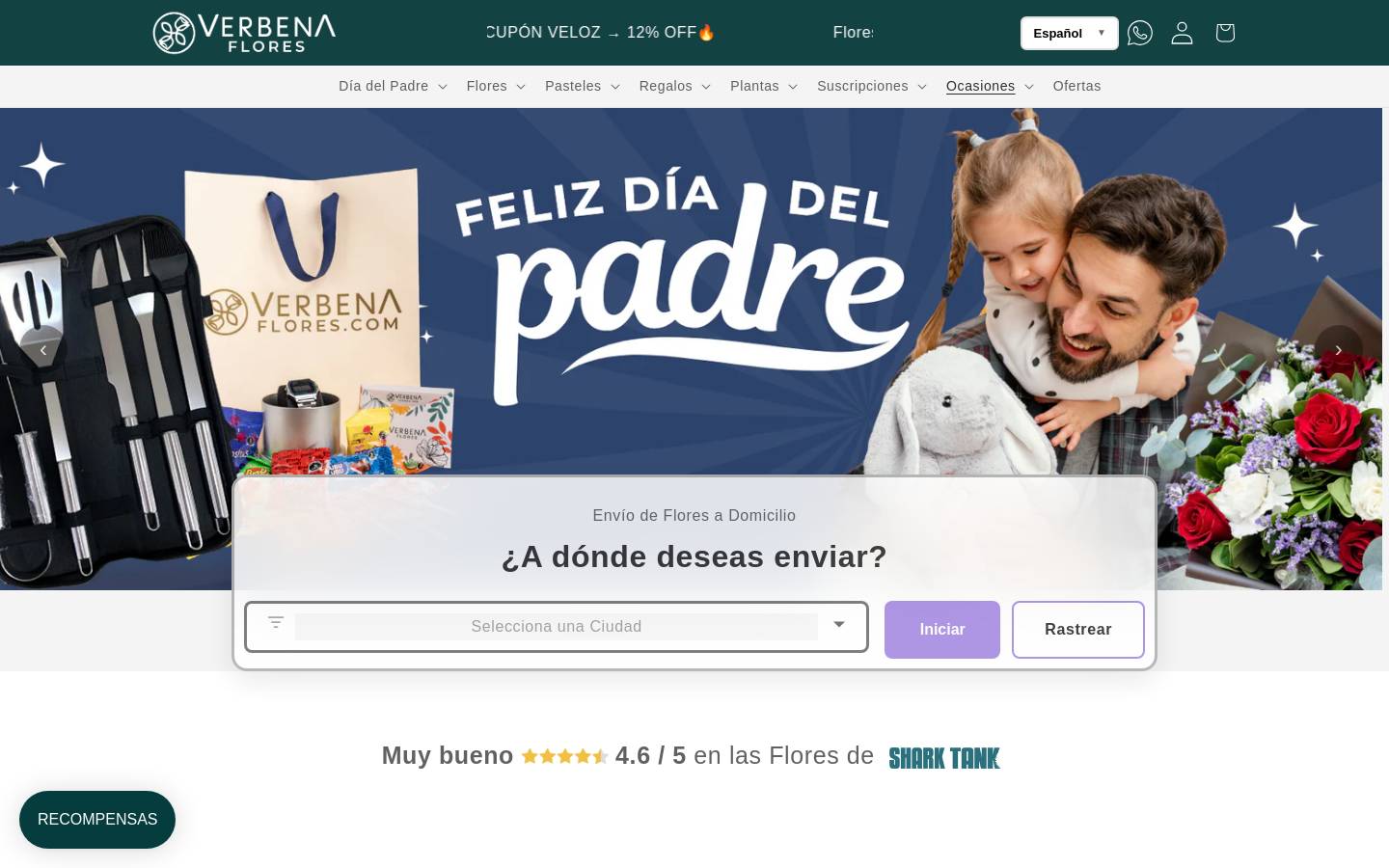 verbenaflores.com homepage screenshot
