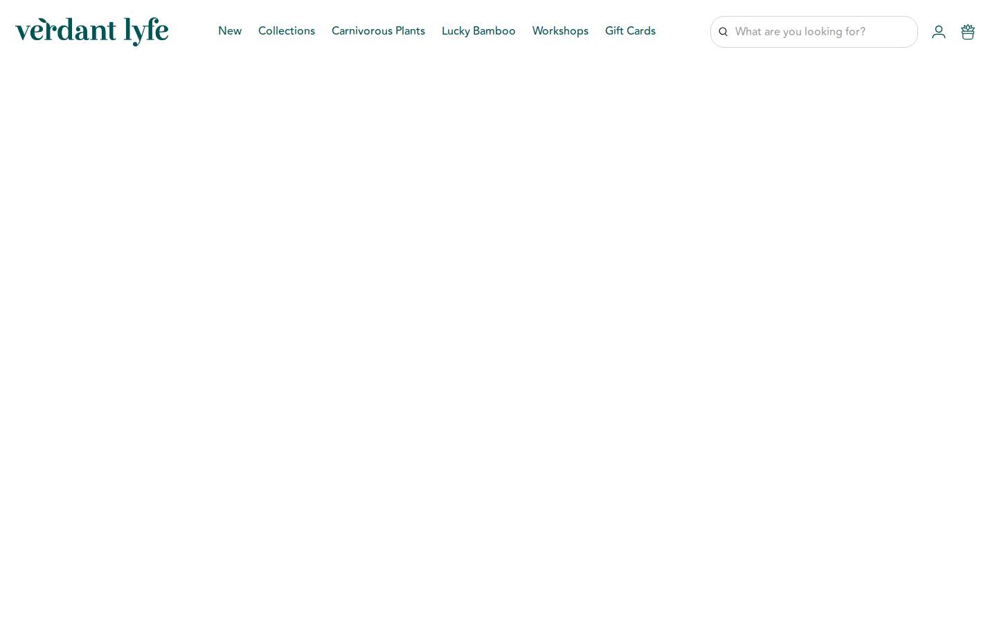 verdantlyfe.com homepage screenshot