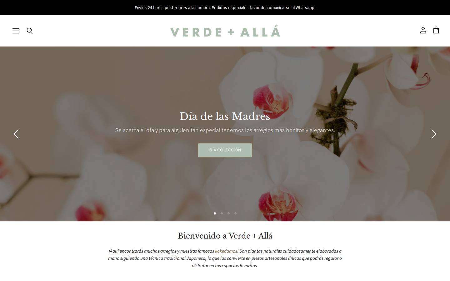 verdemasalla.mx homepage screenshot