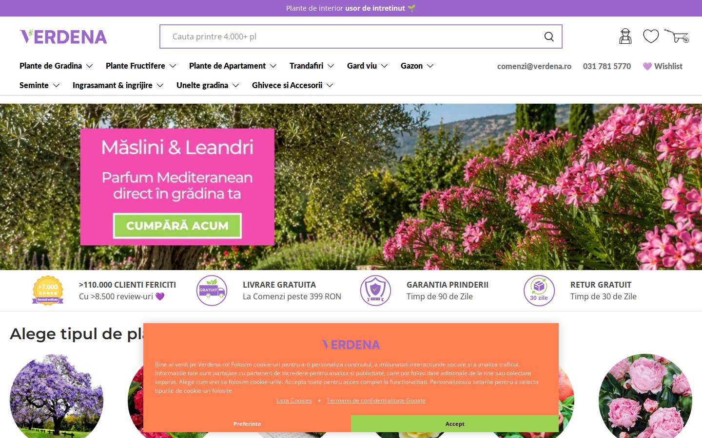 verdena.eu homepage screenshot