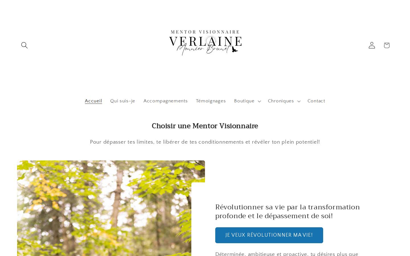 verlaine.ca homepage screenshot