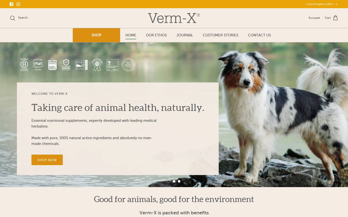 Verm X homepage screenshot