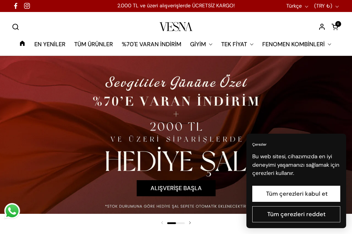 VESNA homepage screenshot