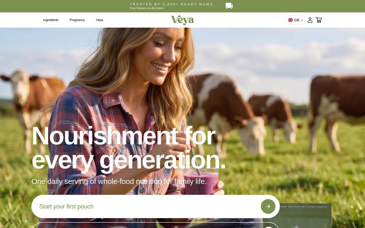veya.info homepage screenshot