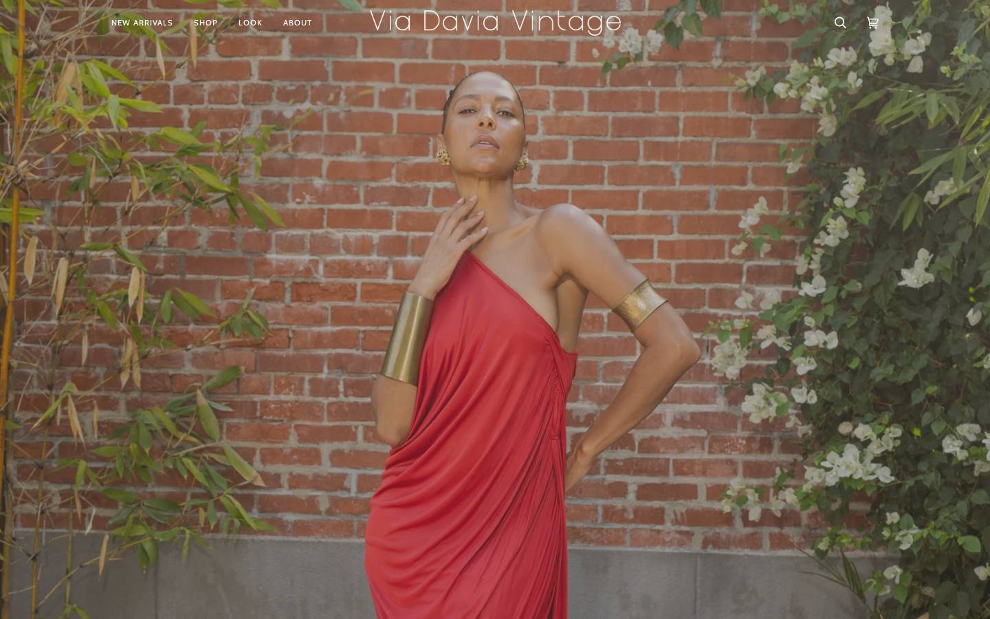 viadaviavintage.com homepage screenshot
