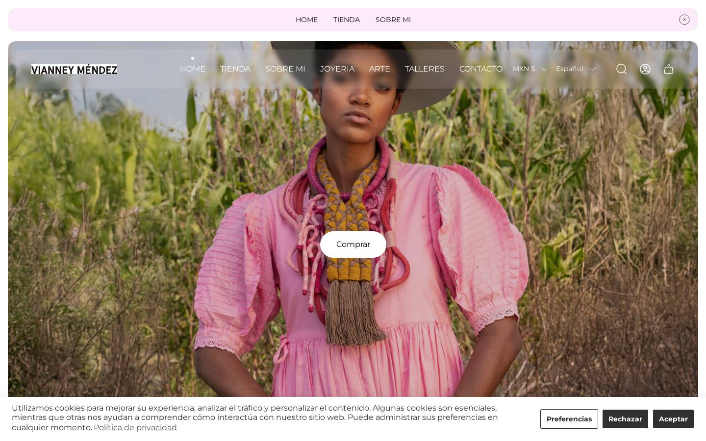 vianneymendez.com homepage screenshot