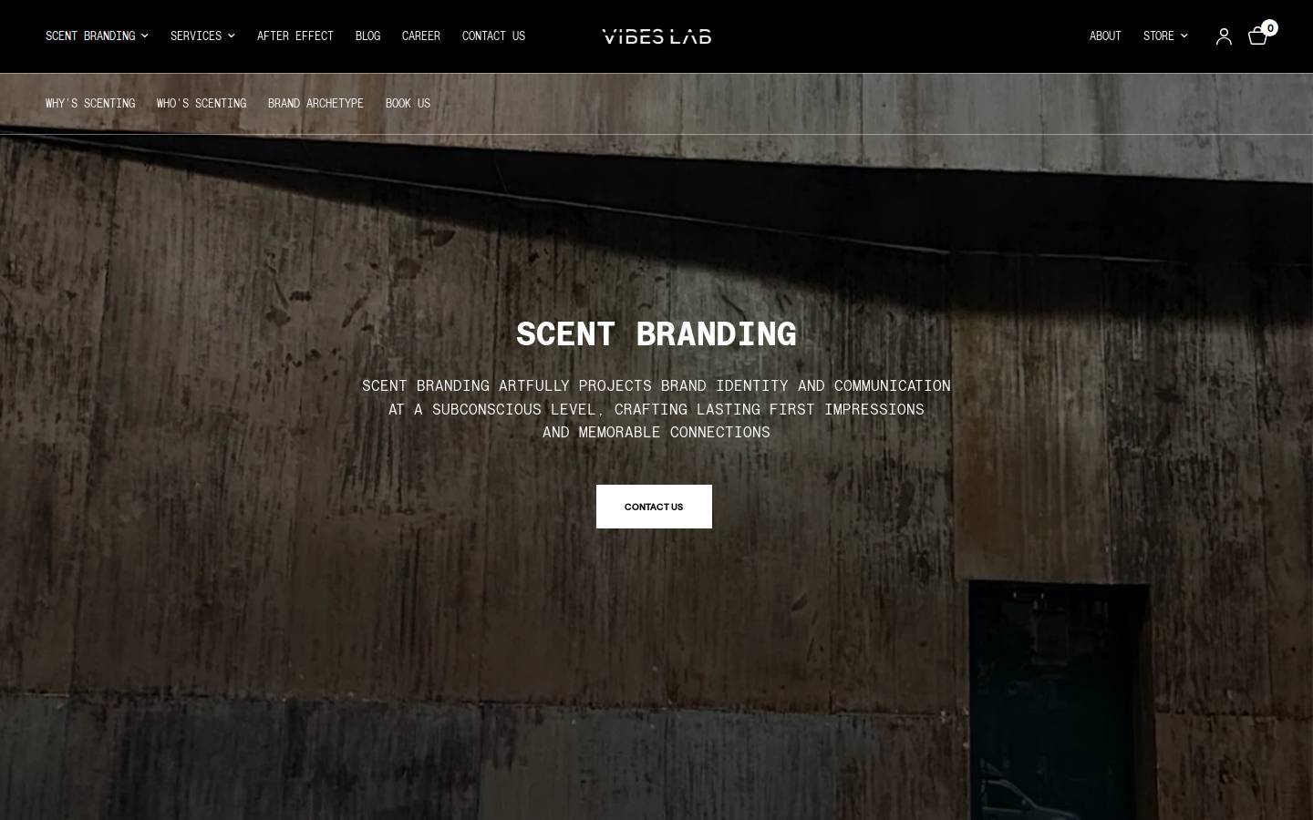 vibeslab.co homepage screenshot
