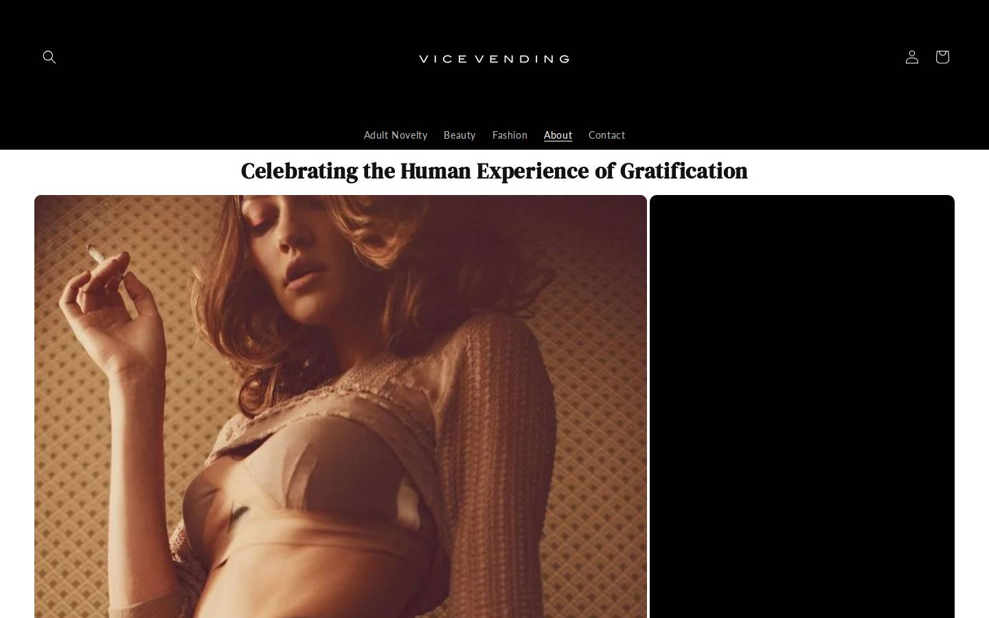 vicevending.com homepage screenshot