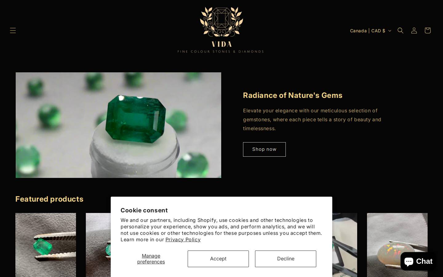 vidagem.com homepage screenshot