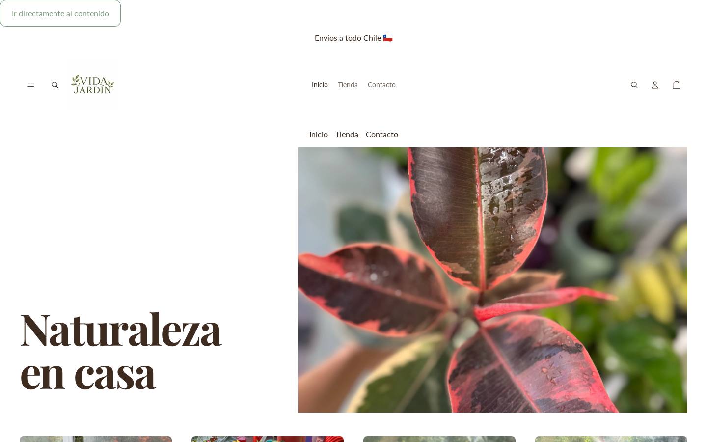 vidajardin.cl homepage screenshot