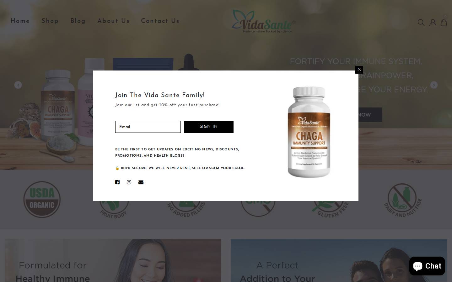 vidasante.com homepage screenshot