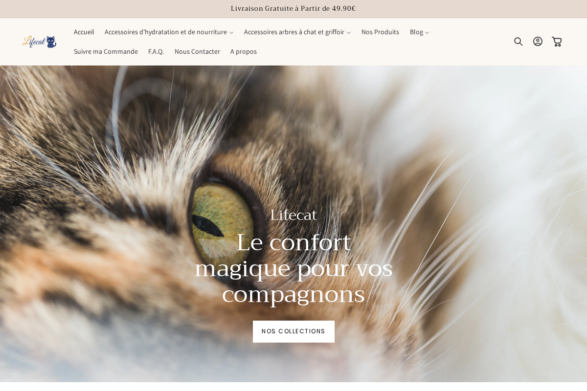 Viedchat homepage screenshot