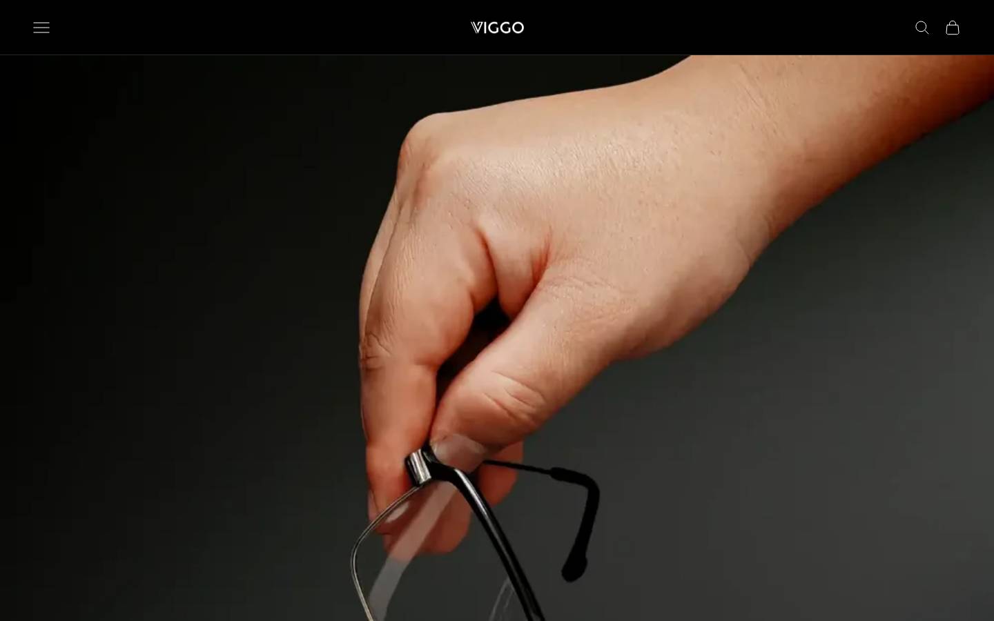 Viggo homepage screenshot
