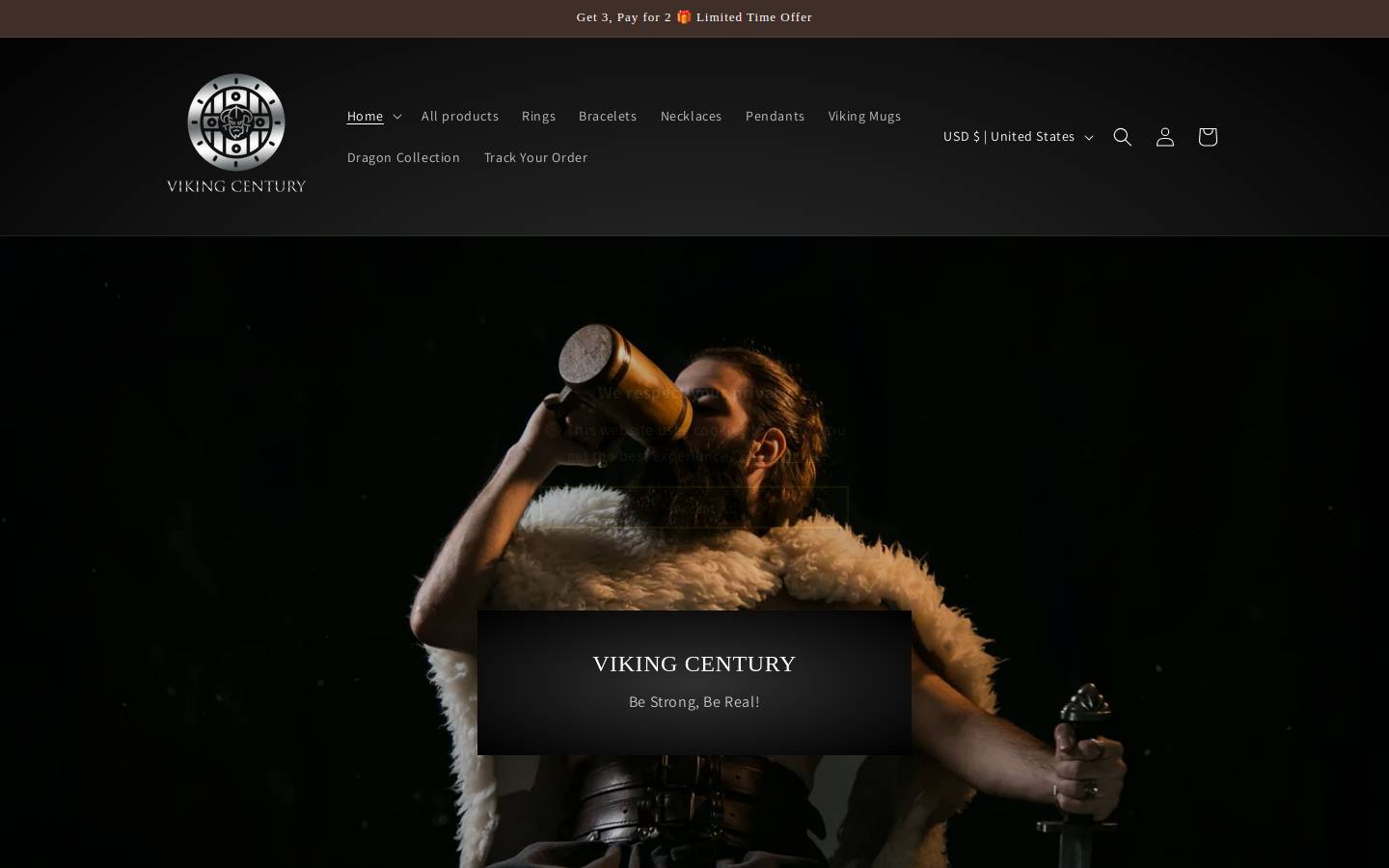 vikingcentury.com homepage screenshot