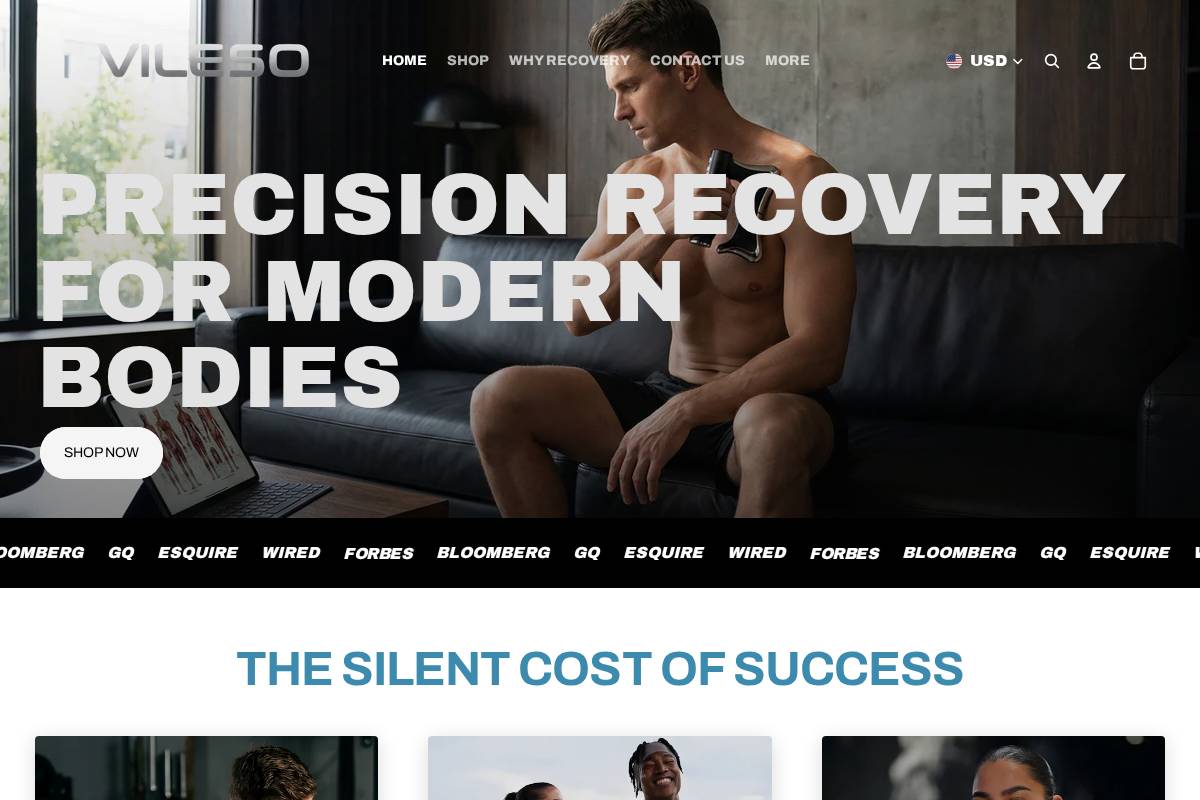 vileso.com homepage screenshot