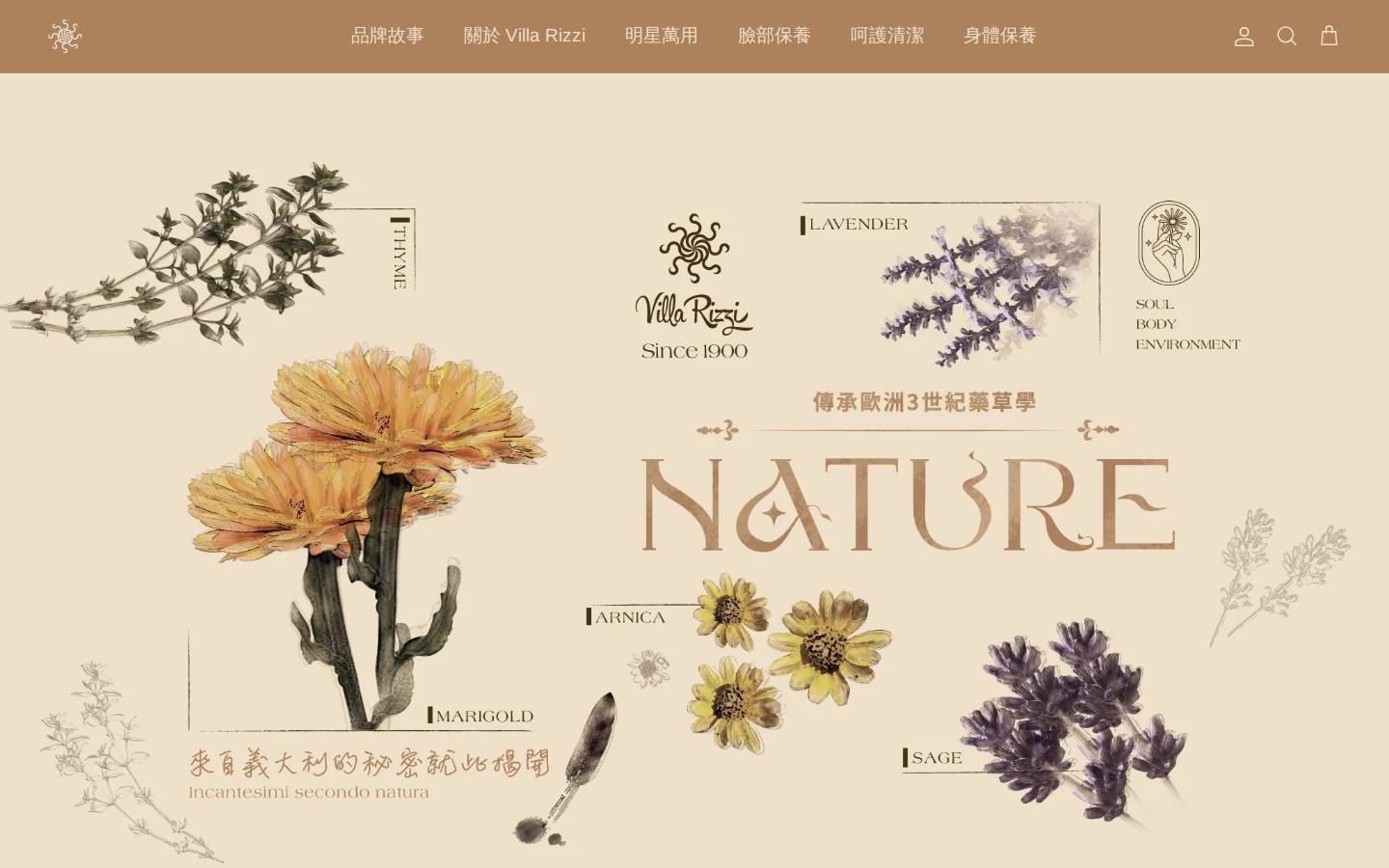villarizzi.com homepage screenshot