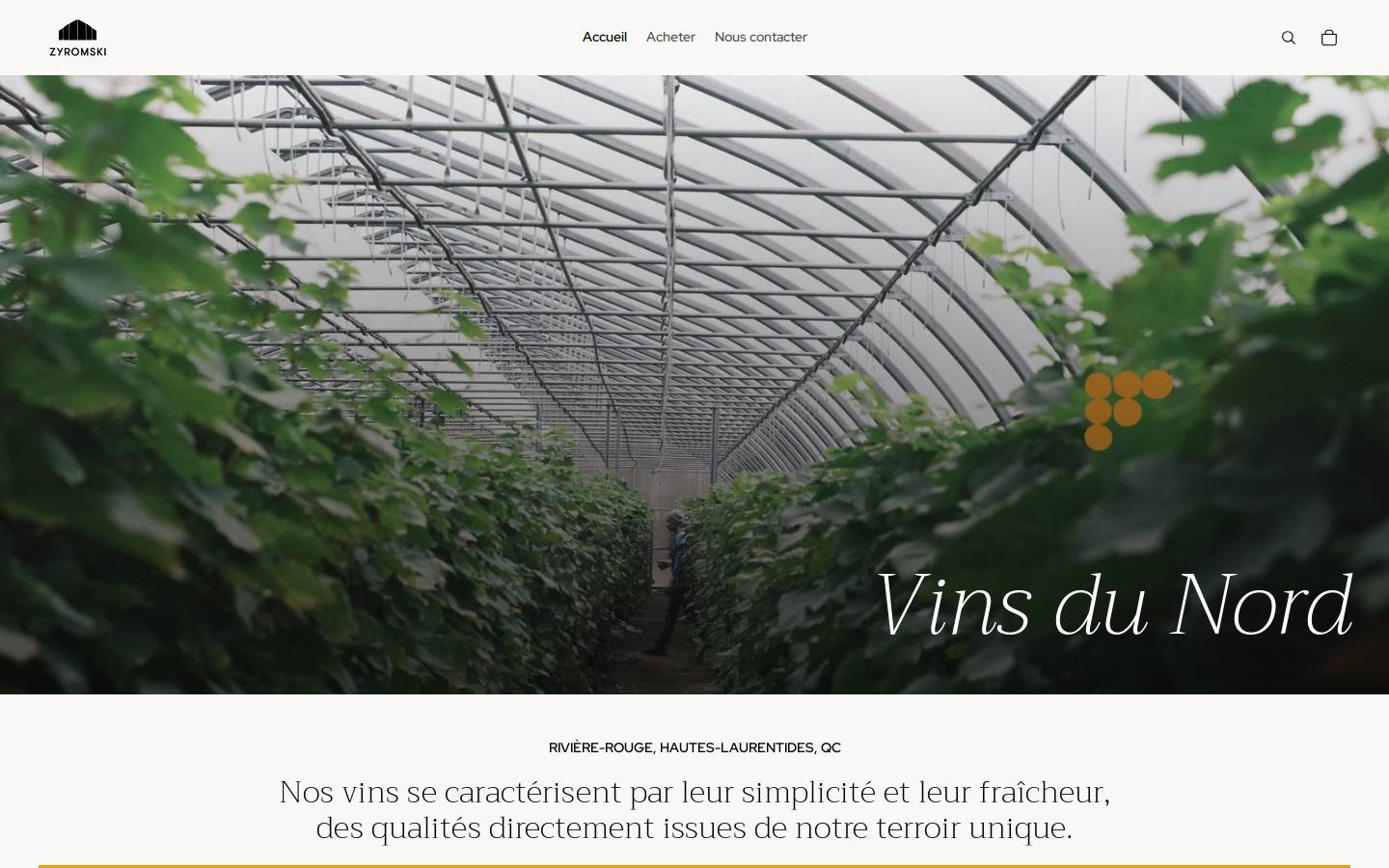 vinszyromski.com homepage screenshot
