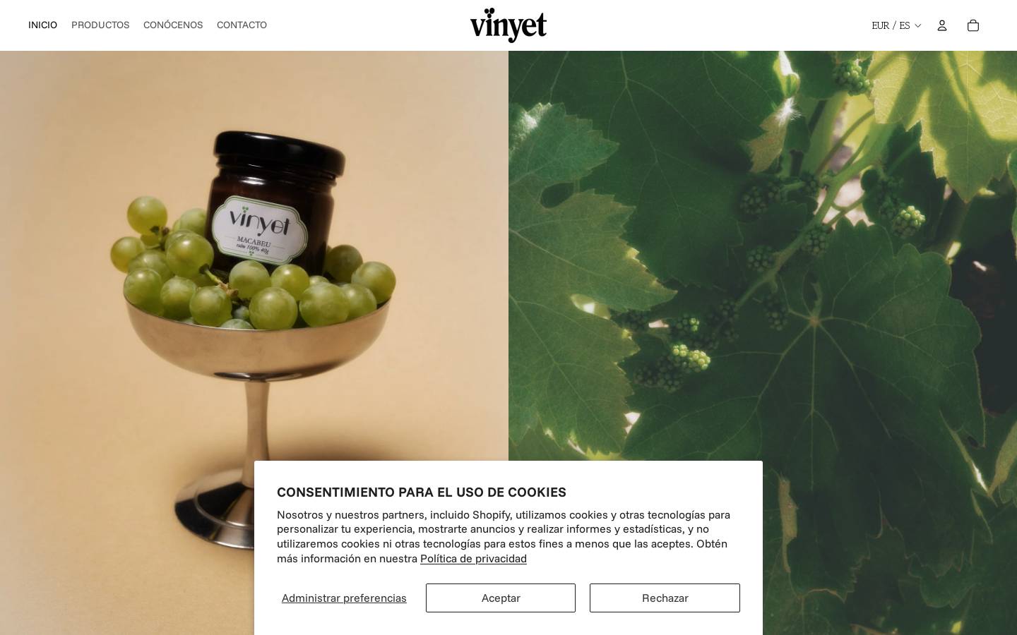 vinyet.cat homepage screenshot