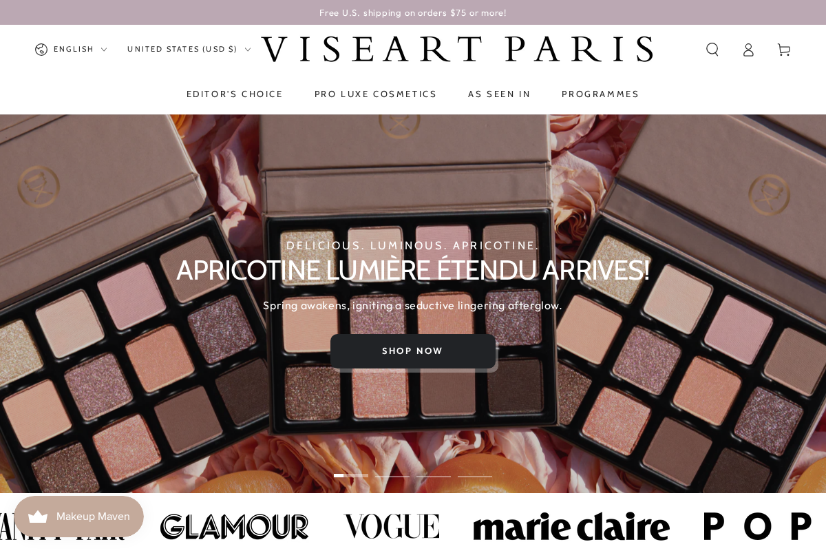 viseartparis.com homepage screenshot