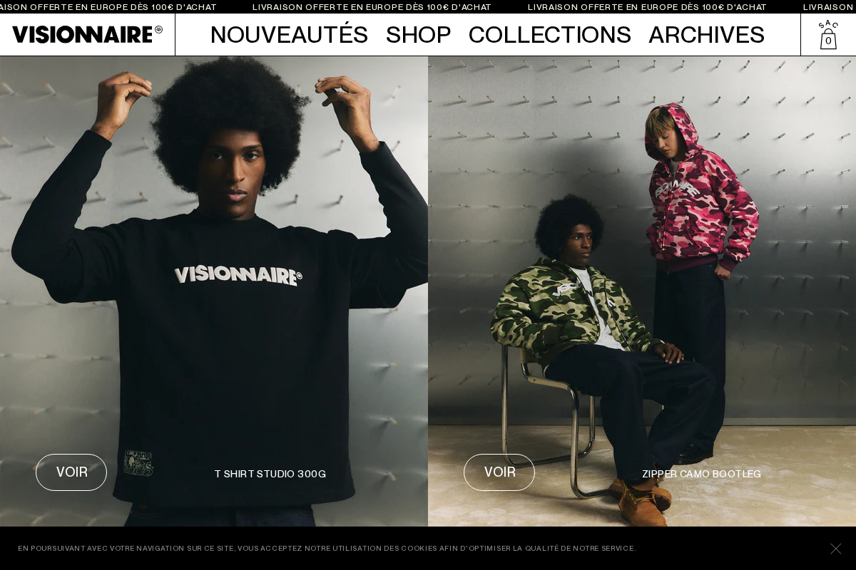 vision-naire.com homepage screenshot