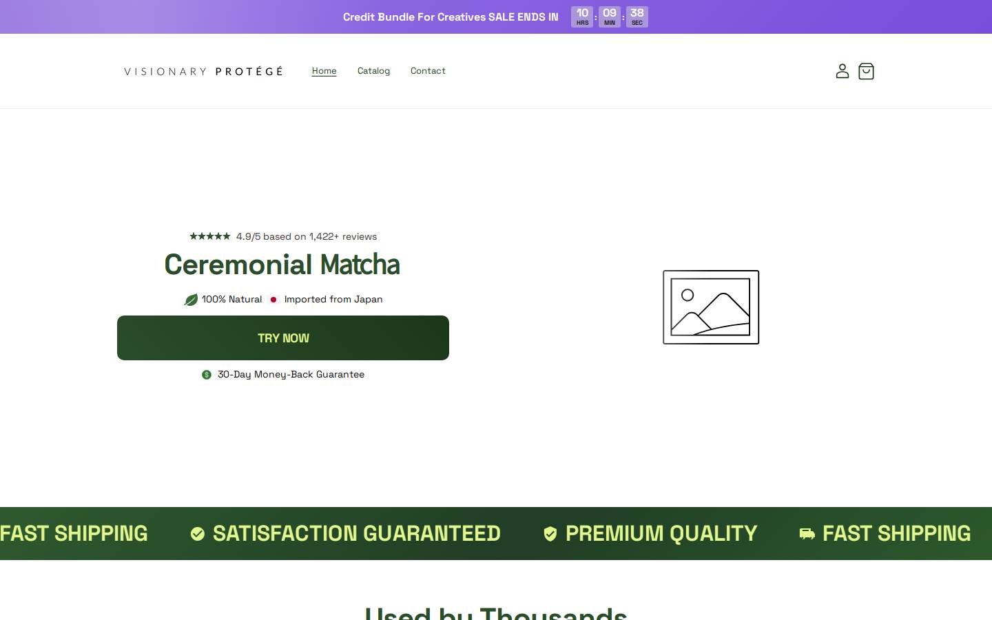 visionaryprotege.com homepage screenshot