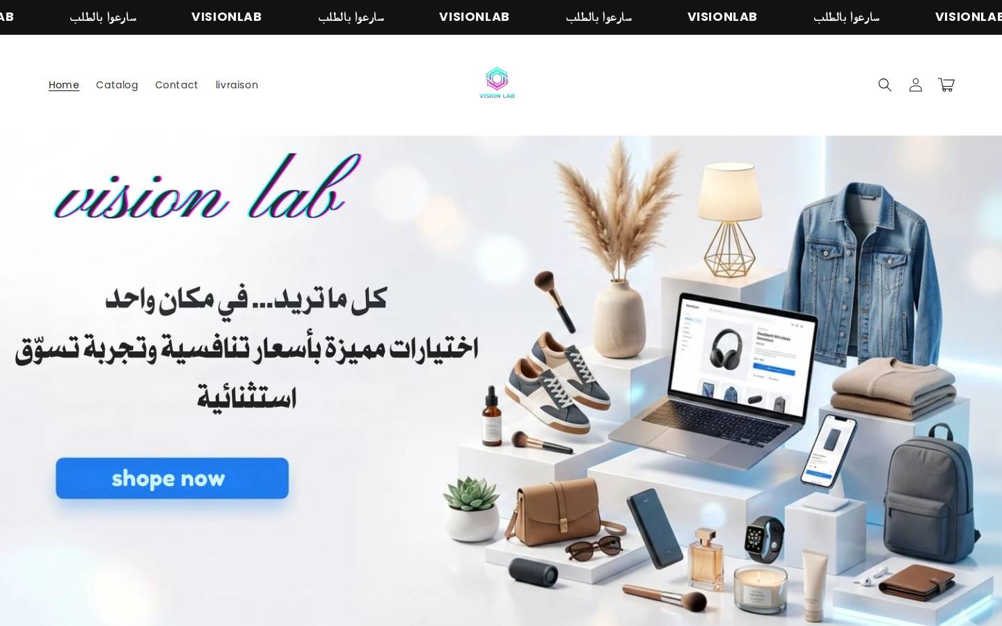 visionlab.store homepage screenshot