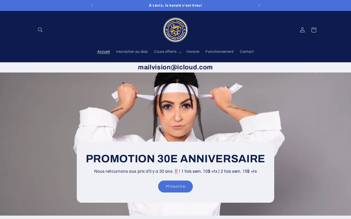 visionlevis.com homepage screenshot