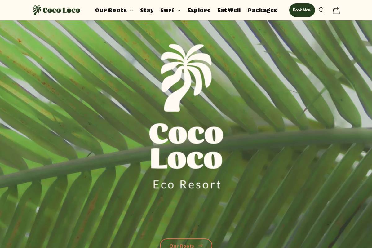 visitcocoloco.com homepage screenshot