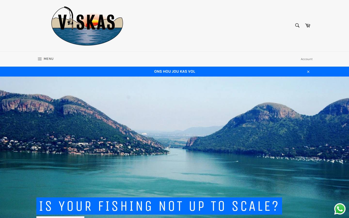 viskas.co.za homepage screenshot