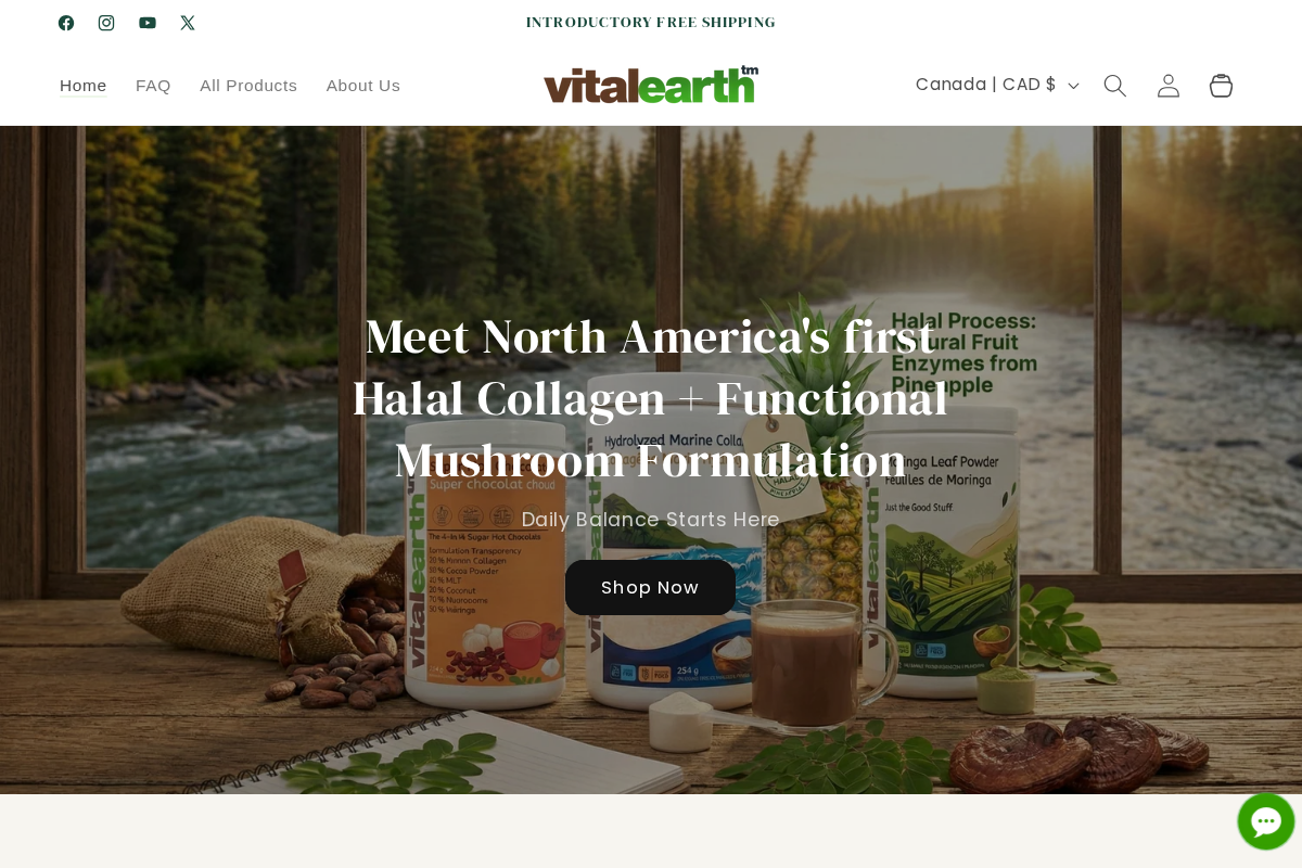 vitalearth.fit homepage screenshot