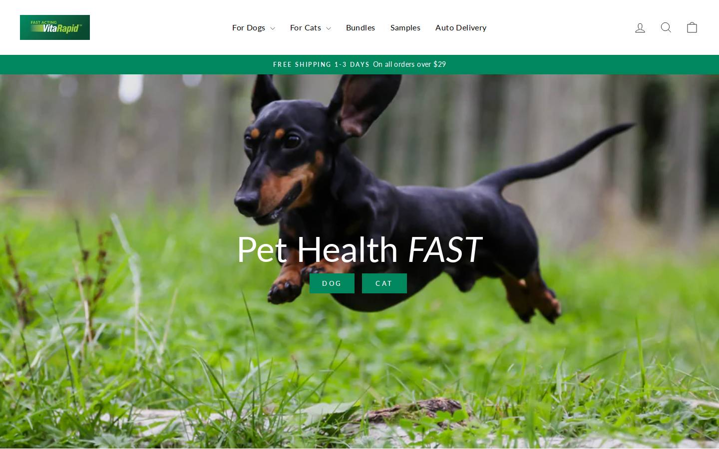 vitarapid.com homepage screenshot