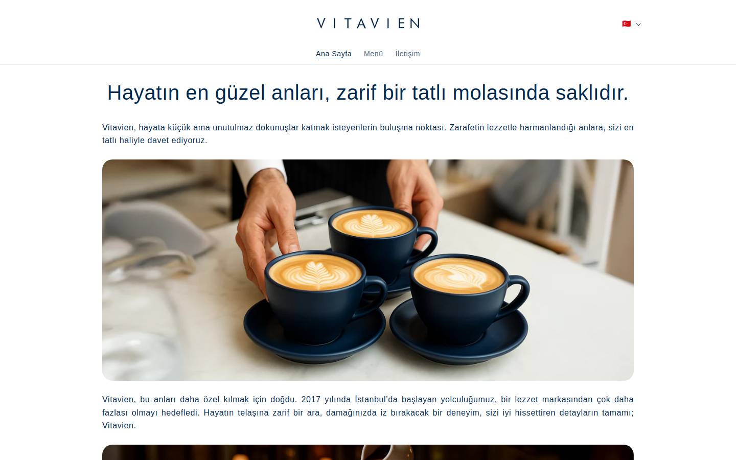 vitavien.com homepage screenshot