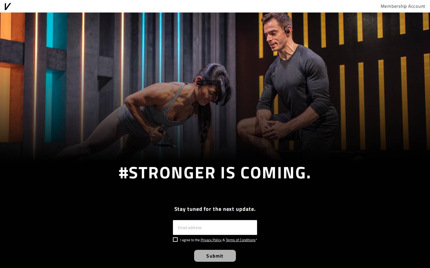 Vitruvian homepage screenshot
