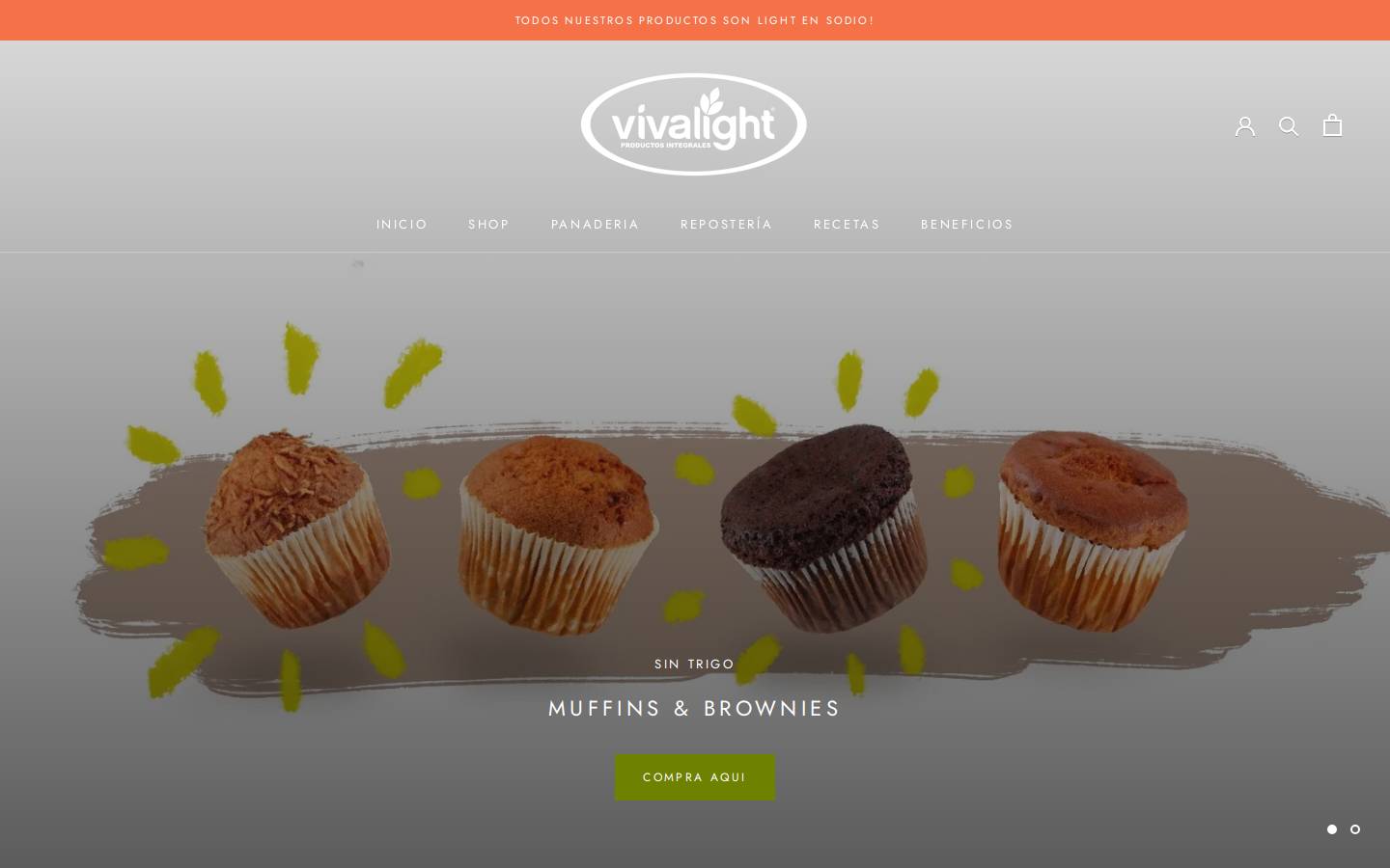 vivalight.com.co homepage screenshot