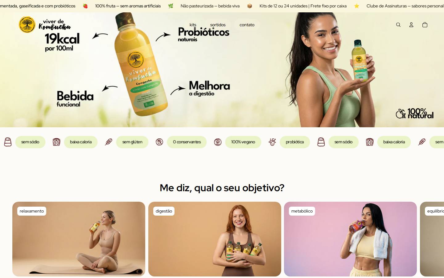 viverdekombucha.com.br homepage screenshot