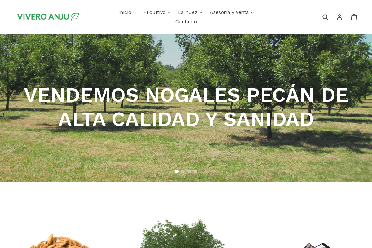 viveroanju.com.ar homepage screenshot