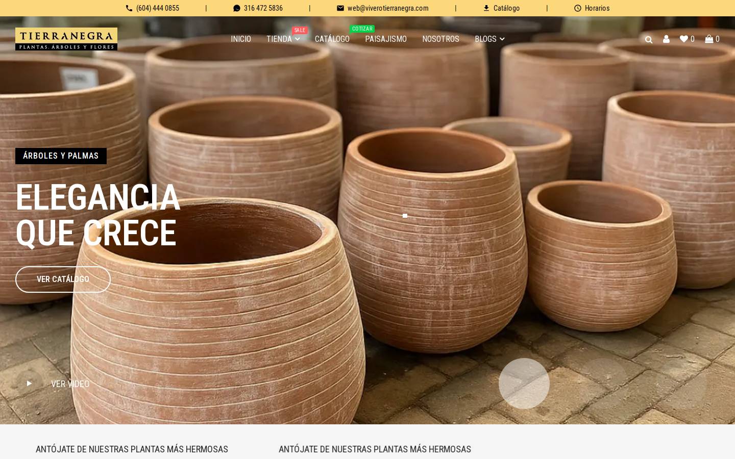viverotierranegra.com homepage screenshot