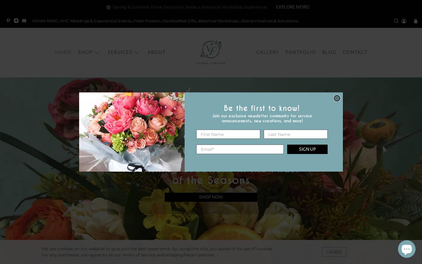 vivianpang.com homepage screenshot
