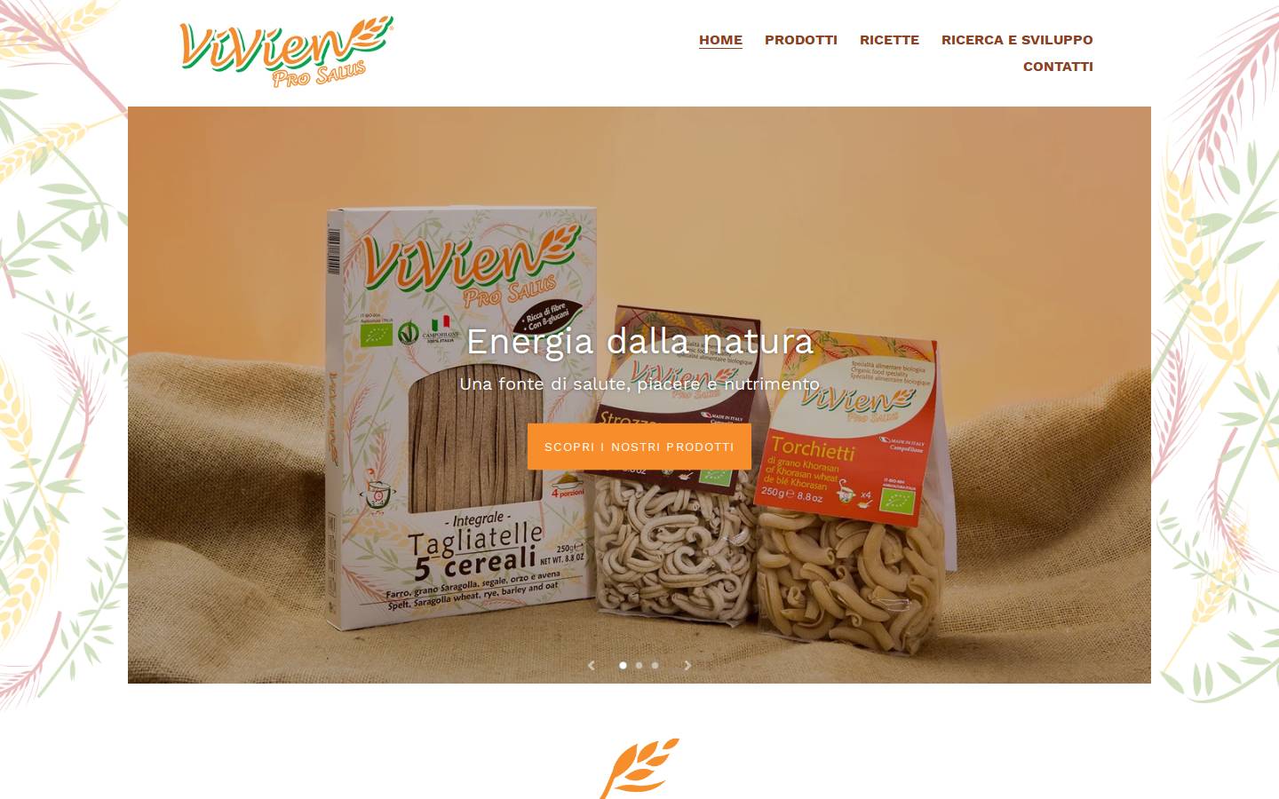 vivienprosalus.it homepage screenshot
