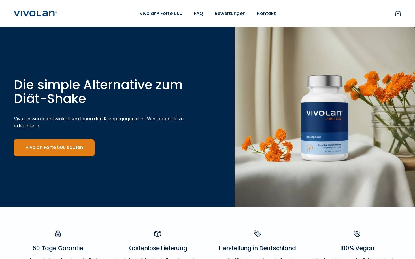 vivolan.de homepage screenshot
